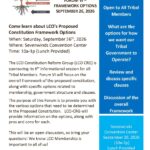 constitutionforum