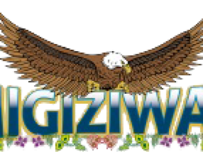 LCOschoolLogo