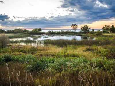 wetlands